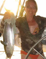 Small Yellowfin Tuna